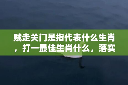 贼走关门是指代表什么生肖，打一最佳生肖什么，落实词语释义解释插图