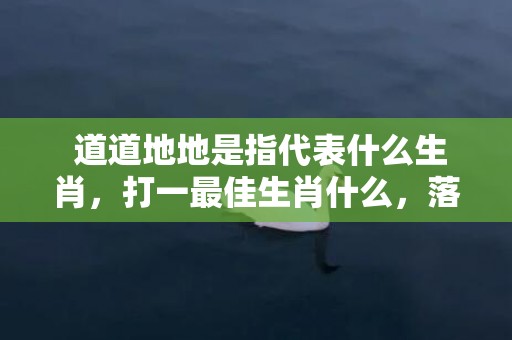  道道地地是指代表什么生肖，打一最佳生肖什么，落实词语释义解释