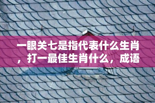 一眼关七是指代表什么生肖，打一最佳生肖什么，成语解释落实释义