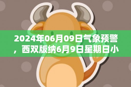 2024年06月09日气象预警，西双版纳6月9日星期日小雨最高温度30度