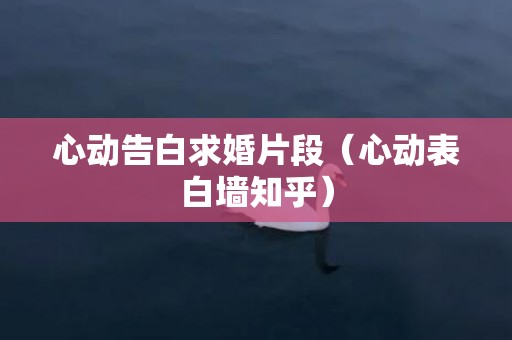 心动告白求婚片段（心动表白墙知乎）