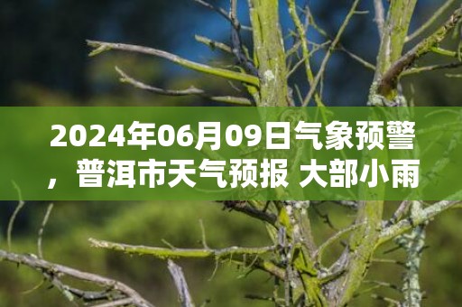 2024年06月09日气象预警，普洱市天气预报 大部小雨