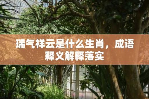 瑞气祥云是什么生肖，成语释义解释落实