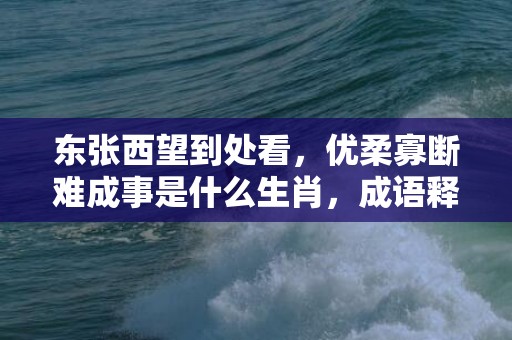 东张西望到处看，优柔寡断难成事是什么生肖，成语释义解释落实