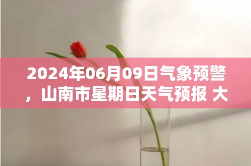 2024年06月09日气象预警，山南市星期日天气预报 大部多云