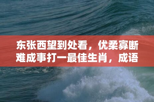 东张西望到处看，优柔寡断难成事打一最佳生肖，成语释义解释落实插图