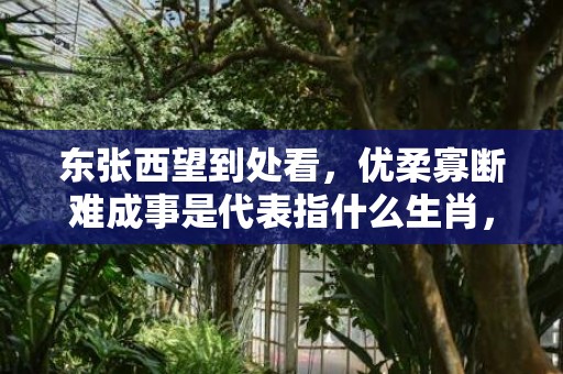 东张西望到处看，优柔寡断难成事是代表指什么生肖，成语释义解释落实插图