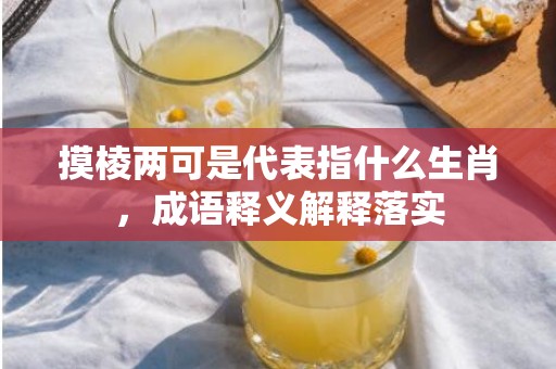 摸棱两可是代表指什么生肖，成语释义解释落实插图