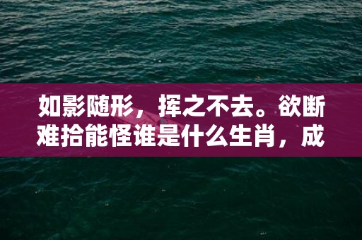 如影随形，挥之不去。欲断难拾能怪谁是什么生肖，成语释义解释落实插图