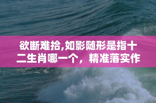 欲断难拾,如影随形是指十二生肖哪一个，精准落实作答释义