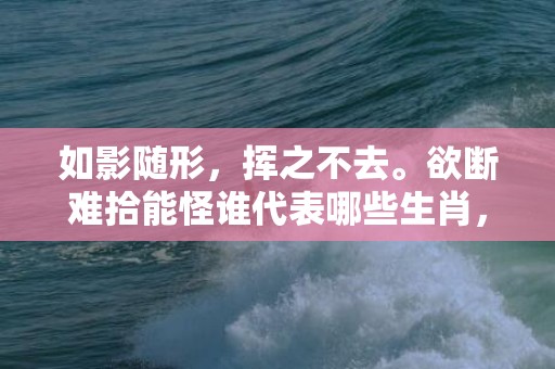 如影随形，挥之不去。欲断难拾能怪谁代表哪些生肖，成语释义解释落实