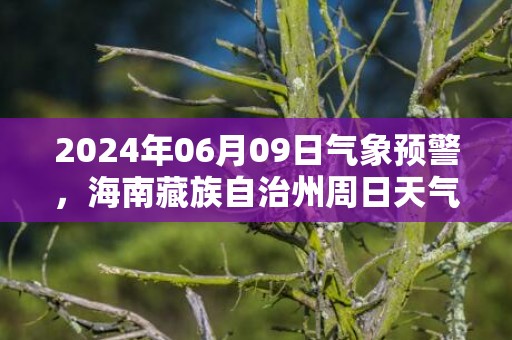 2024年06月09日气象预警，海南藏族自治州周日天气预报 大部多云