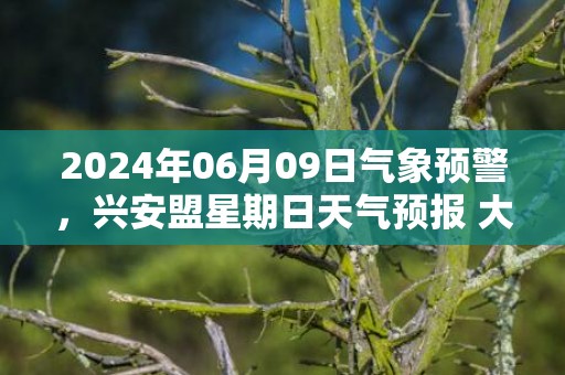 2024年06月09日气象预警，兴安盟星期日天气预报 大部晴