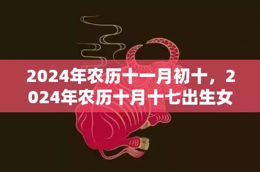 2024年农历十一月初十，2024年农历十月十七出生女孩好听雅致的名字