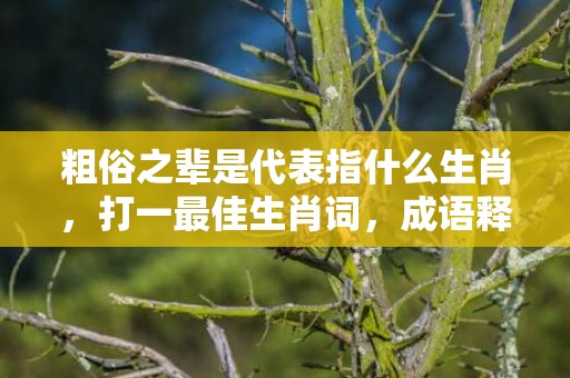 粗俗之辈是代表指什么生肖，打一最佳生肖词，成语释义解释落实