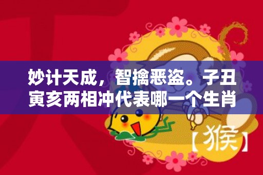 妙计天成，智擒恶盗。子丑寅亥两相冲代表哪一个生肖，成语释义解释落实插图