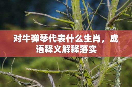 对牛弹琴代表什么生肖，成语释义解释落实插图