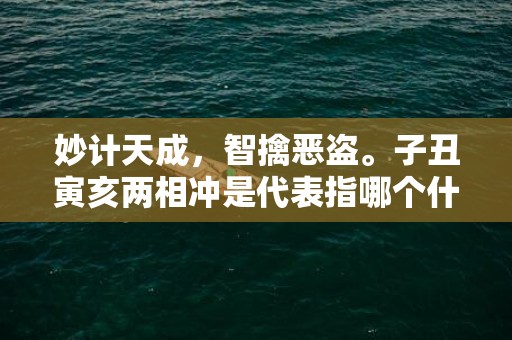 妙计天成，智擒恶盗。子丑寅亥两相冲是代表指哪个什么生肖，成语释义解释落实插图