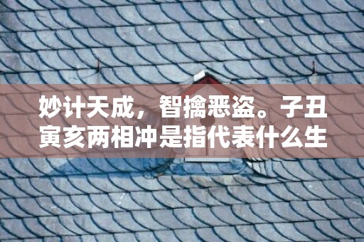 妙计天成，智擒恶盗。子丑寅亥两相冲是指代表什么生肖，打一最佳生肖词语插图