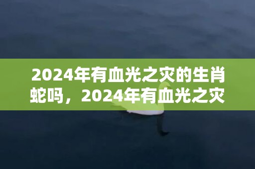 2024年有血光之灾的生肖蛇吗，2024年有血光之灾的生肖女