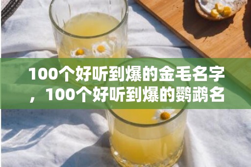 100个好听到爆的金毛名字，100个好听到爆的鹦鹉名字