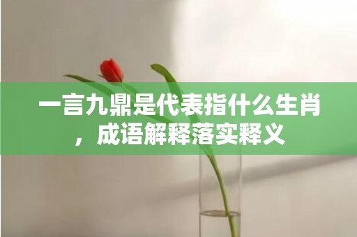 一言九鼎是代表指什么生肖，成语解释落实释义