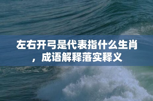 左右开弓是代表指什么生肖，成语解释落实释义