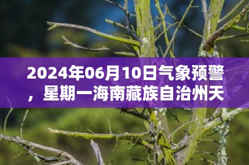 2024年06月10日气象预警，星期一海南藏族自治州天气预报 大部小雨