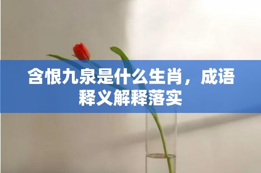 含恨九泉是什么生肖，成语释义解释落实