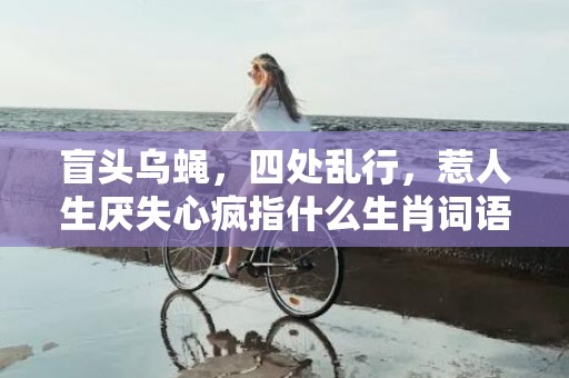 盲头乌蝇，四处乱行，惹人生厌失心疯指什么生肖词语，成语释义解释落实