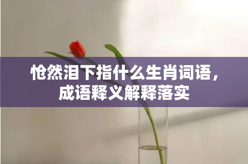 怆然泪下指什么生肖词语，成语释义解释落实