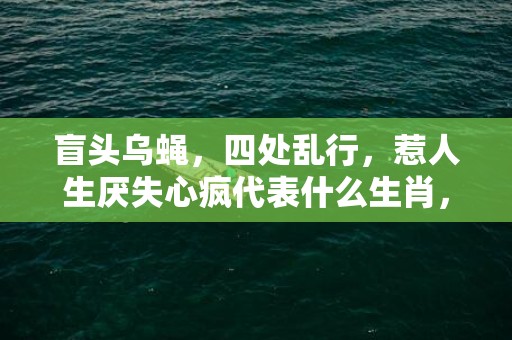 盲头乌蝇，四处乱行，惹人生厌失心疯代表什么生肖，成语释义解释落实插图