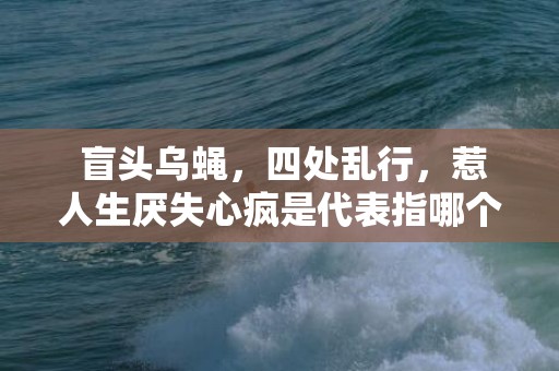 盲头乌蝇，四处乱行，惹人生厌失心疯是代表指哪个什么生肖，成语释义解释落实插图