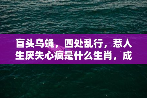 盲头乌蝇，四处乱行，惹人生厌失心疯是什么生肖，成语释义解释落实插图