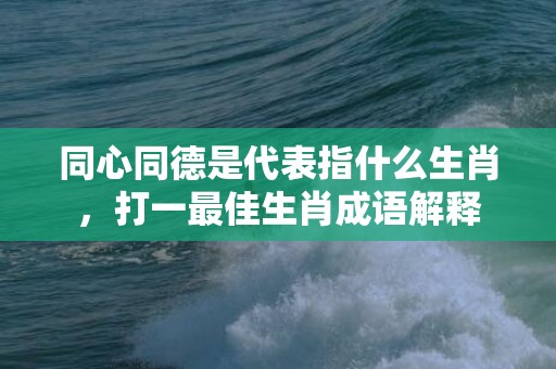 同心同德是代表指什么生肖，打一最佳生肖成语解释