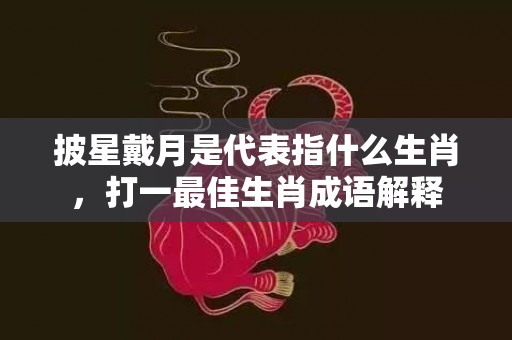 披星戴月是代表指什么生肖，打一最佳生肖成语解释