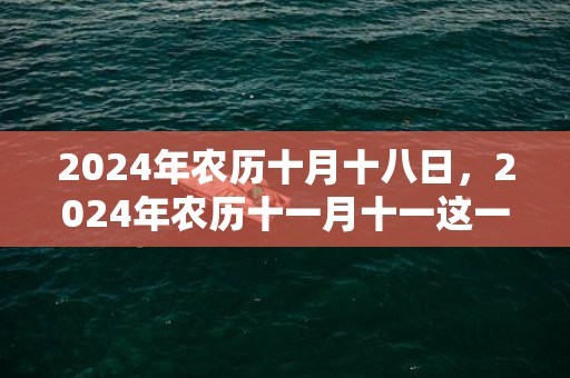 2024年农历十月十八日，2024年农历十一月十一这一天日子怎么样