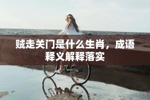 贼走关门是什么生肖，成语释义解释落实插图