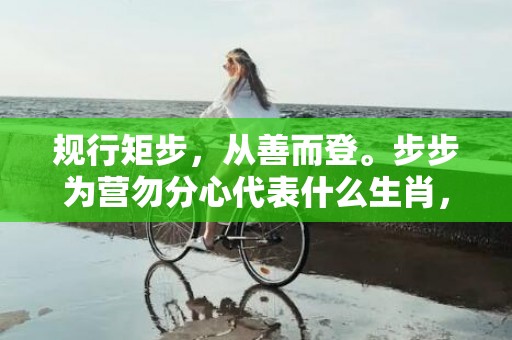 规行矩步，从善而登。步步为营勿分心代表什么生肖，成语释义解释落实插图