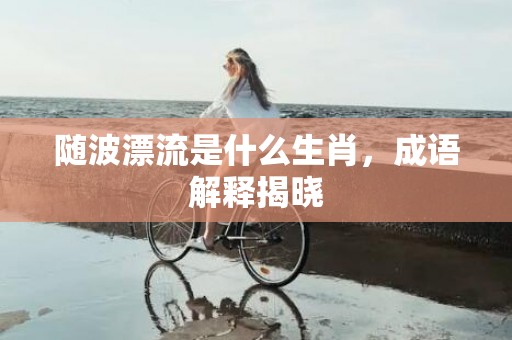 随波漂流是什么生肖，成语解释揭晓插图