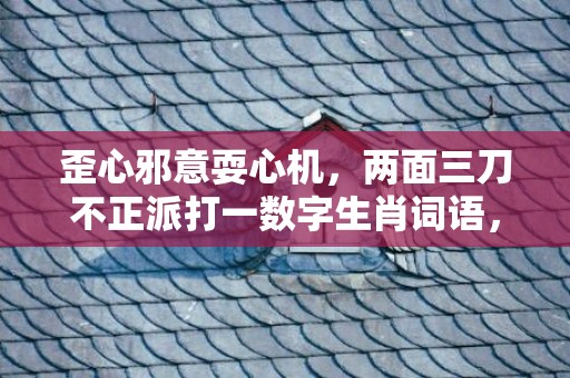 歪心邪意耍心机，两面三刀不正派打一数字生肖词语，成语释义解释落实插图