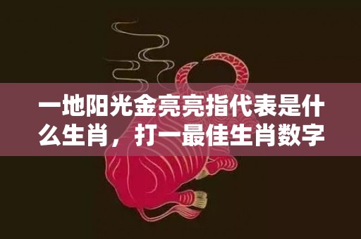 一地阳光金亮亮指代表是什么生肖，打一最佳生肖数字词语，解释落实释义插图