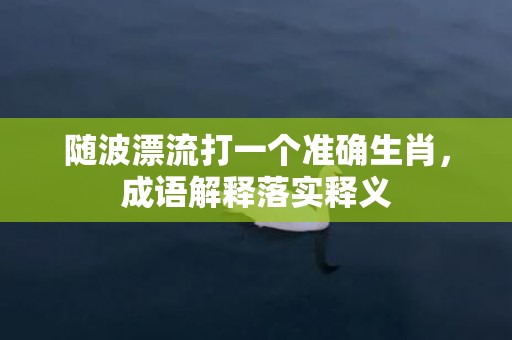 随波漂流打一个准确生肖，成语解释落实释义插图