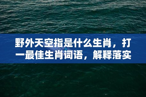 野外天空指是什么生肖，打一最佳生肖词语，解释落实词语释义插图