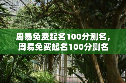 周易免费起名100分测名，周易免费起名100分测名