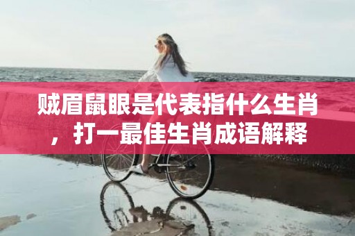 贼眉鼠眼是代表指什么生肖，打一最佳生肖成语解释插图