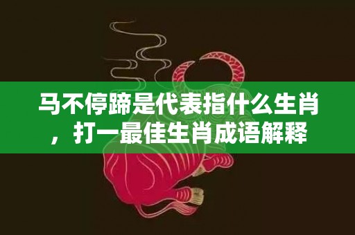 马不停蹄是代表指什么生肖，打一最佳生肖成语解释插图