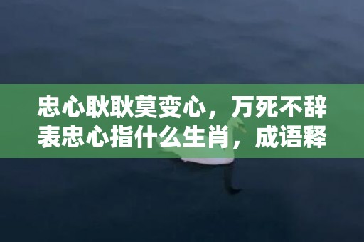 忠心耿耿莫变心，万死不辞表忠心指什么生肖，成语释义解释落实插图