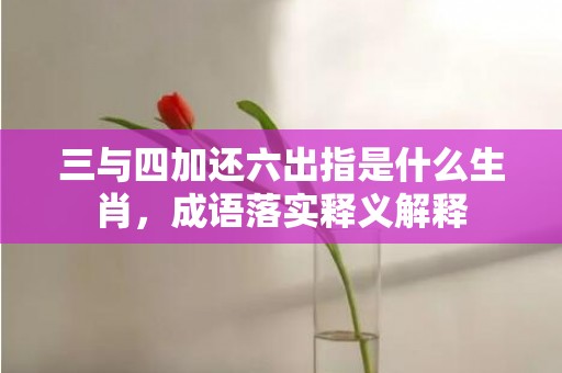 三与四加还六出指是什么生肖，成语落实释义解释插图