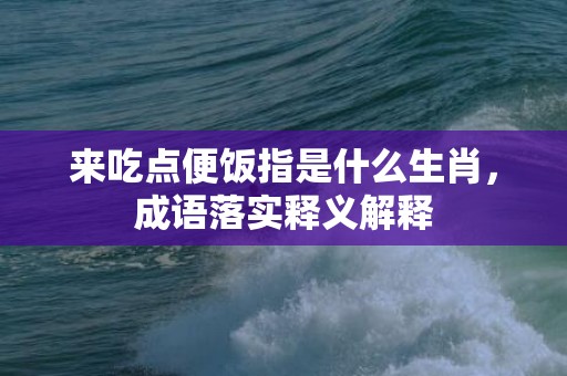 来吃点便饭指是什么生肖，成语落实释义解释插图